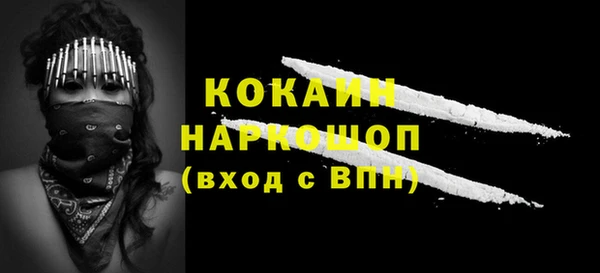 стаф Сосновый Бор