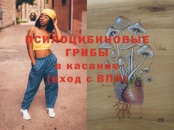 первитин Армянск