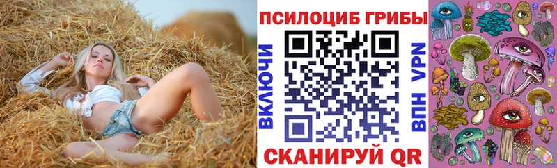 Псилоцибиновые грибы мицелий Отрадный