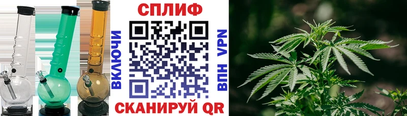 Конопля план Отрадный